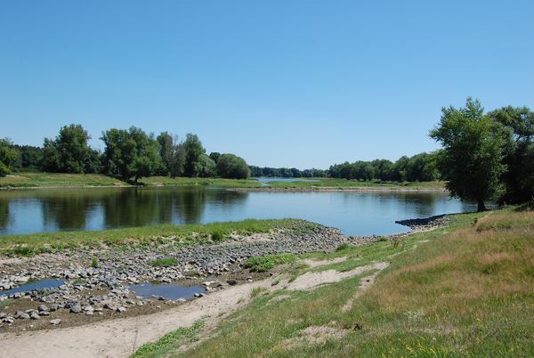 Elbe bei Vockerode/WB, 28.06.2011, Foto: U. Patzak.